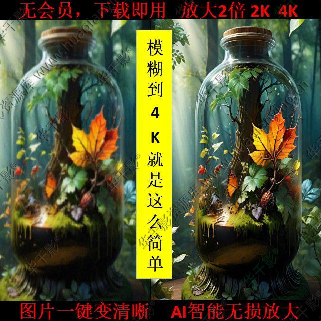 AI. Image Enhancer照片高清放大模糊变清晰增强降噪去模糊修复清晰人像精修